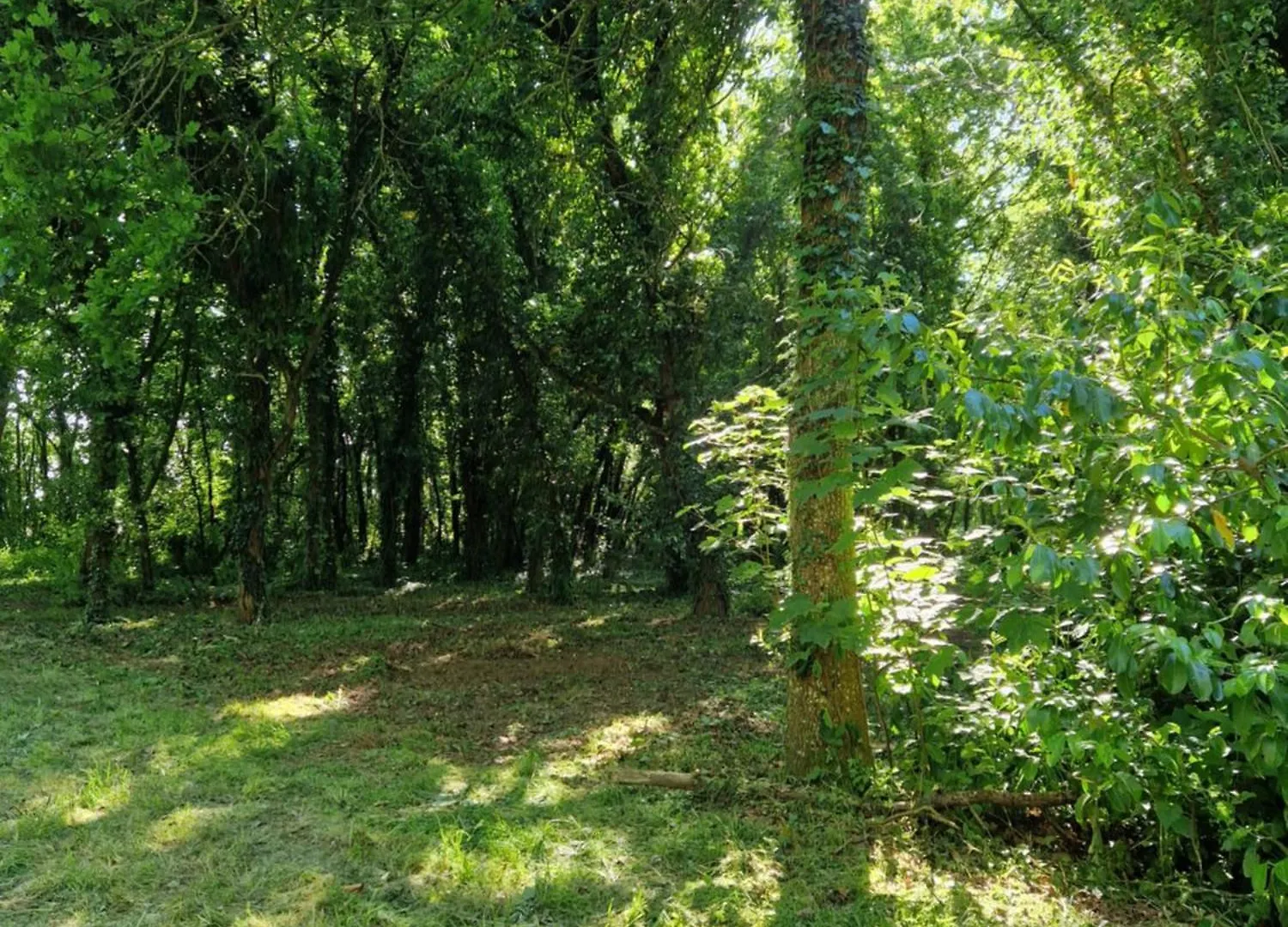 Domaine Du Cloitre Bed & Breakfast Pleneuf-Val-Andre France